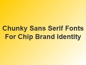 Chunky Sans Serif Fonts for Chip Brand Identity
